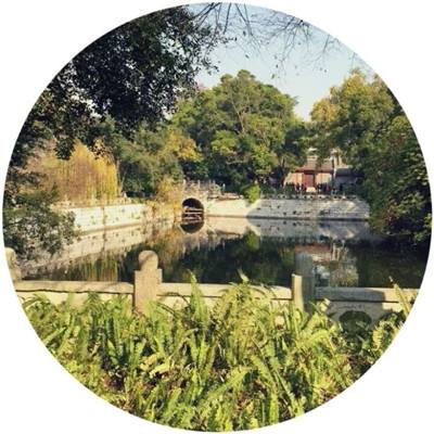 钓鱼看漂单机游戏下载